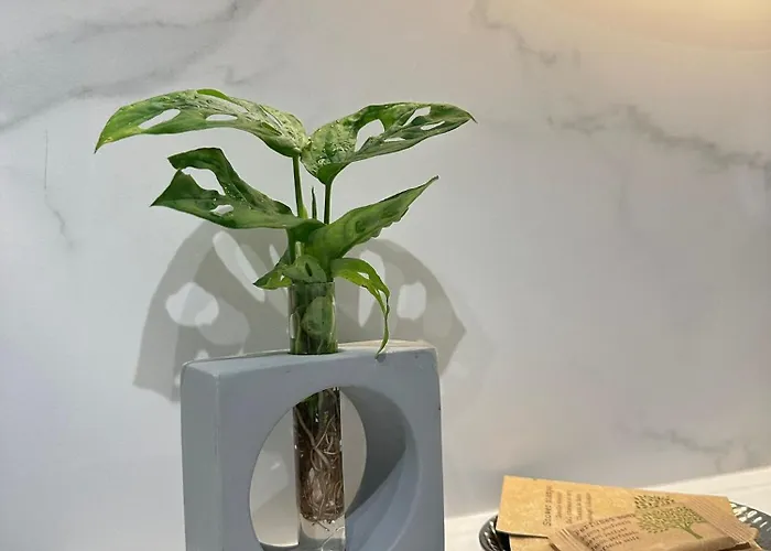 42 Eme 3* Верона